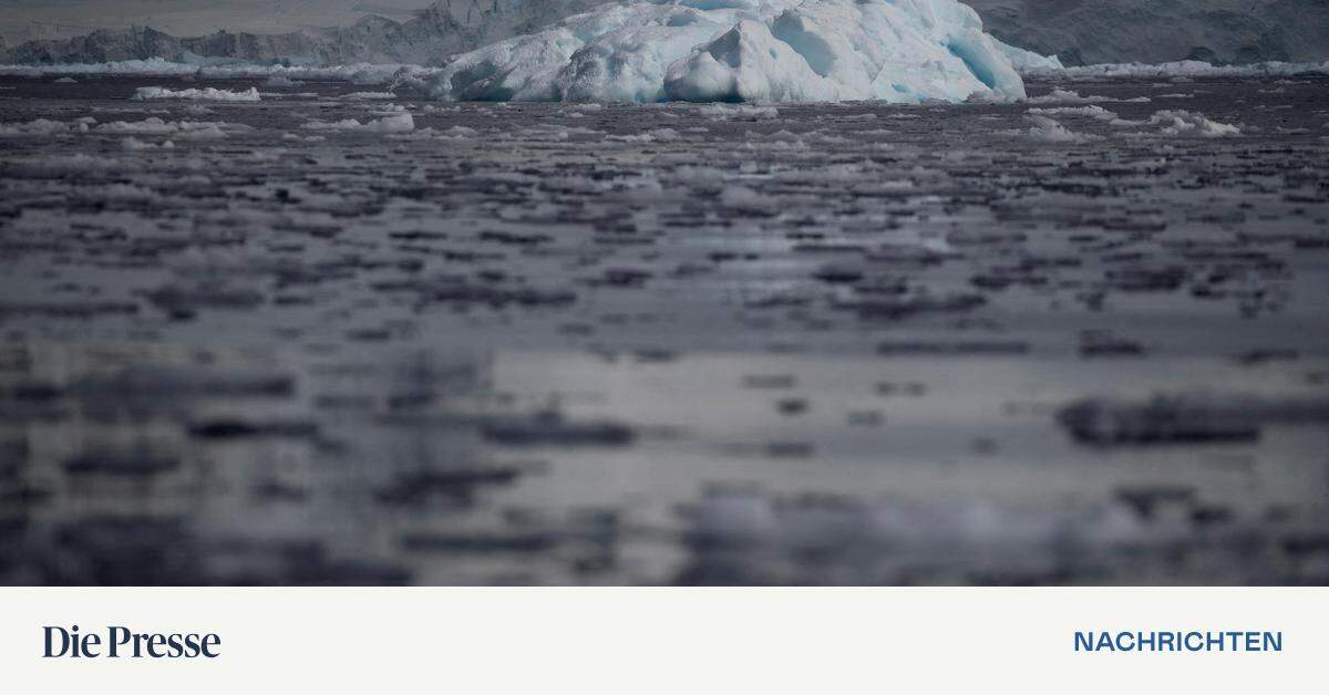 maximale Eisfläche der Antarktis ist so klein wie seit 45 Jahren