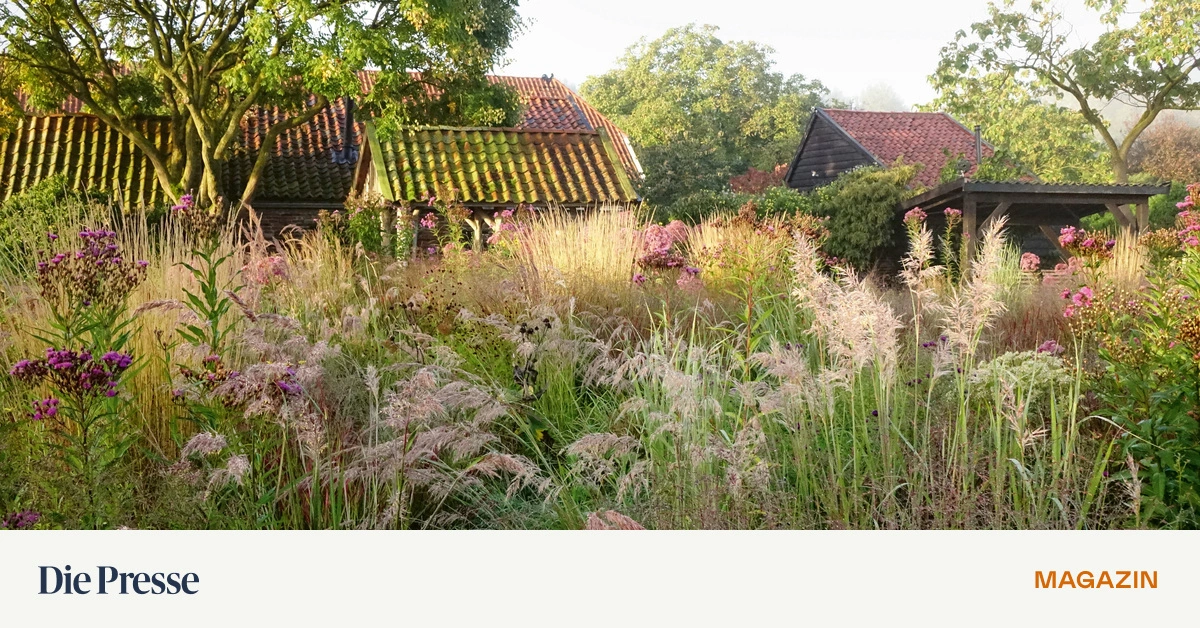 Zwischen-Wildnis-und-Perfektion-Wie-Piet-Oudolfs-G-rten-funktionieren-premium-