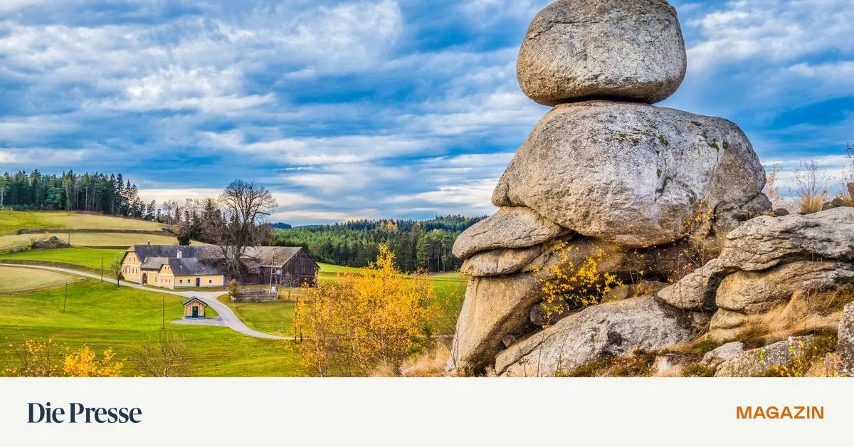 Immobilien-im-Waldviertel-k-hle-N-chte-coole-Lage