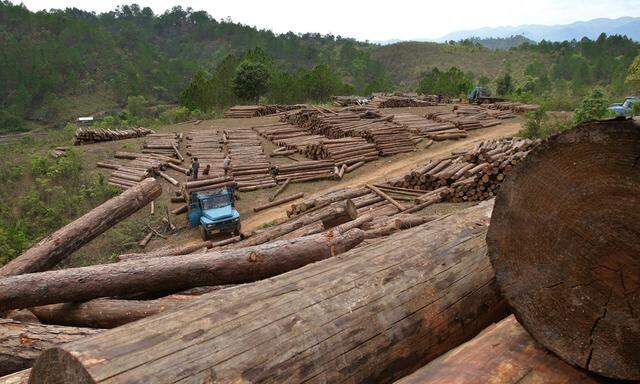 MYANMAR DEFORESTATION LOGGING