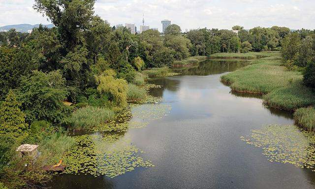 Archivbild: Die Wiener Lobau