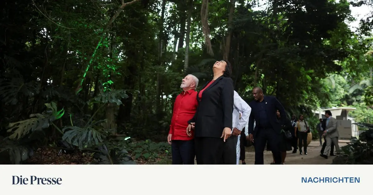 Brasilien-Lula-gibt-den-gr-nen-Erneuerer-und-l-sst-nach-Erd-l-bohren-premium-