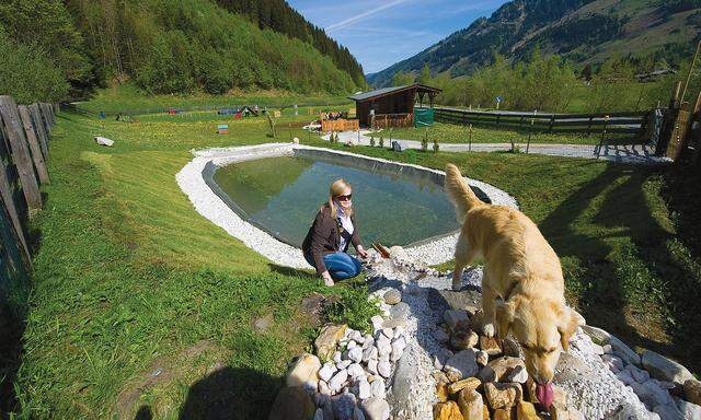 Badeteich für Hunde im Hotel Grimming Dogs and Frieds in Rauris