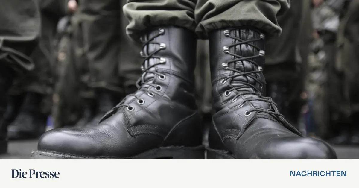 Lange-Haare-f-r-m-nnliche-Soldaten-und-eingefrorene-Eier-von-Frauen-Neue-Session-am-VfGH-startet