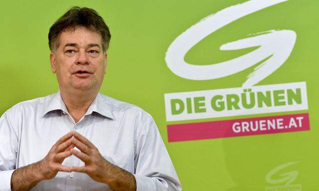 Werner Kogler, Grüne