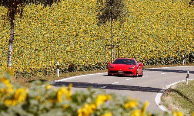 Ferrari sports car drives past a field of sunflowers near Siglisdorf