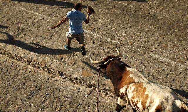A runner jumps as he tries to get attention of bull during ´Toro de Cuerda´ festival in Grazalema