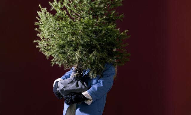 Der Baum als Deko: Immer mehr Menschen wollen ihn nicht nur ein paar Tage, sondern ein paar Wochen lang genießen.