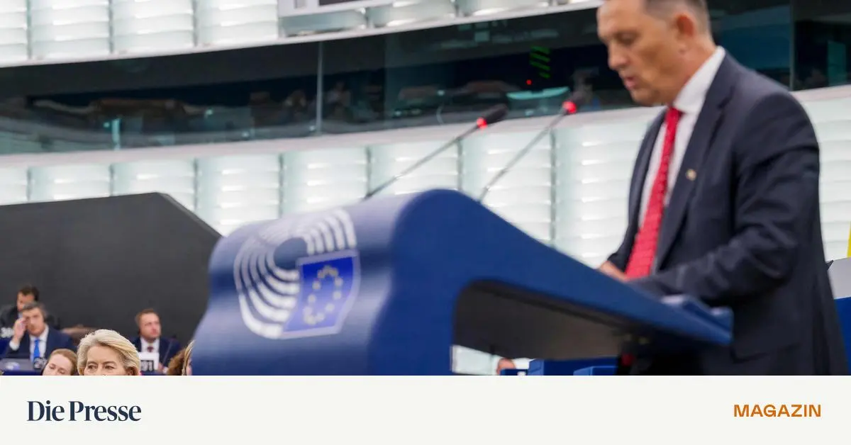 Misstrauensantrag-gegen-Von-der-Leyen-Irgendwann-wird-dieses-Monster-Sie-fressen-premium-