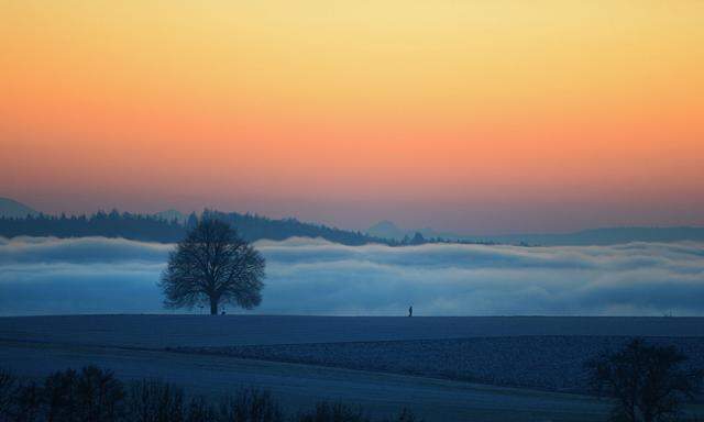 Dichter Nebel über dem Bodensee.