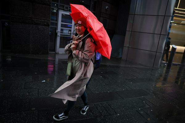 Eine Frau geht am New Yorker Times Square rückwärts, um gegen den Sturm anzukommen. 