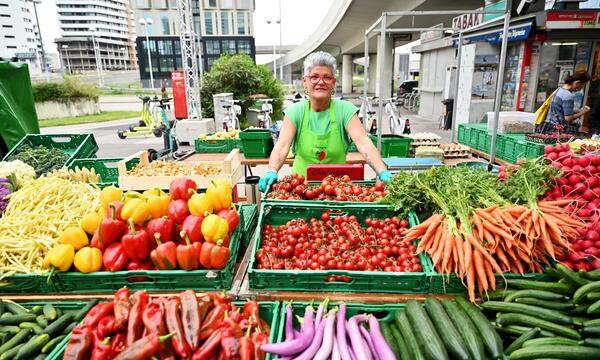 Petra Jelinek aus Simmering zählt zu Wiens überzeugten Marktfahrerinnen: Am Freitag steht sie (wie hier) bei der UNO-City, am Samstag auf dem Karmelitermarkt.