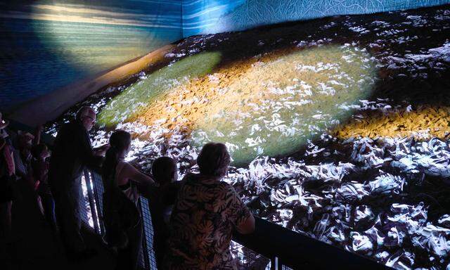 Das riesige Austernriff: Eine Multi-Media-Show taucht die Fossilien in buntes Licht.