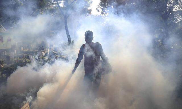 Kampf der Aedes-Mücke: In Dhaka versuchen Arbeiter Brutstätten einzudämmen. 