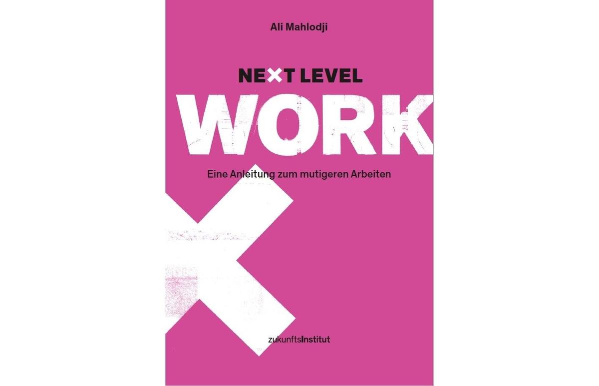 „Next Level Work – Anleitung zum mutigeren Arbeiten“