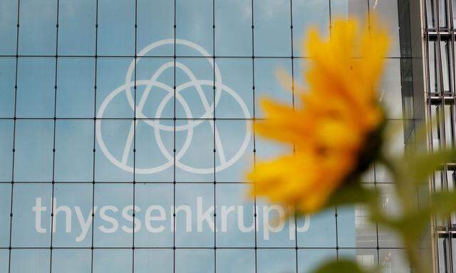 FILE PHOTO: FILE PHOTO: Sunflower outside of ThyssenKrupp AG headquarters in Essen
