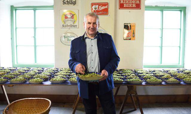 Josef Reiter, Obmann der Hopfenbaugenossenschaft ist mit dem Jahrgang zufrieden.