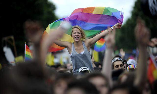 Archivbild von der Gay Pride-Parade in Paris. Nicht alle Franzosen stehen der Homo-Ehe offen gegenüber.