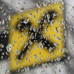 The logo of Raiffeisen bank is pictured through raindrops at a branch office in Vienna
