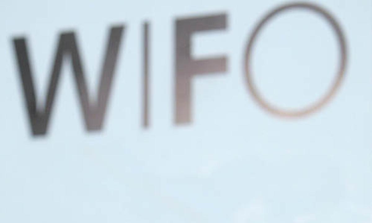 WifoExperte TreichlAussagen schlichtweg falsch