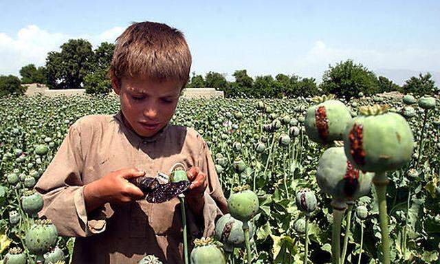 Opium Afghanistan