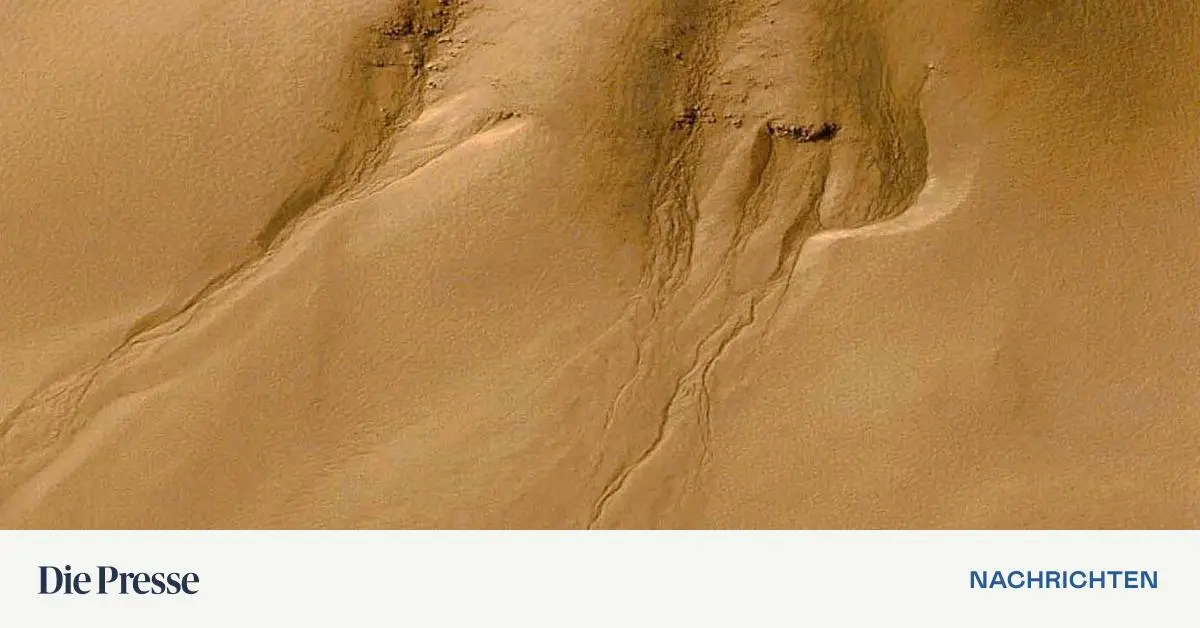 Sotheby-s-versteigert-gr-tes-St-ck-vom-Mars-auf-der-Erde