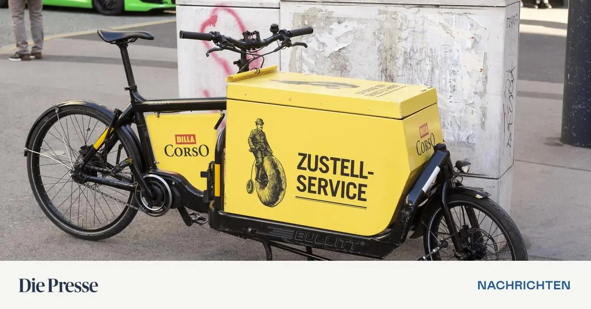 Letzte-Meile-rote-Zahlen-Warum-die-Hauszustellung-nicht-ankommt-premium-