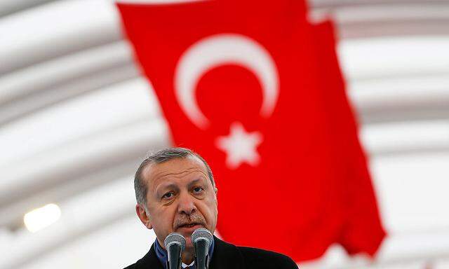 Die Änderungen zu Gunsten Erdogans würden das Parlament schwächen.