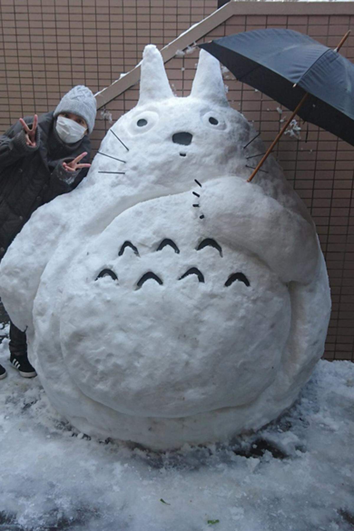 Die ungewohnte Schneepracht beeinträchtigte den Verkehr spürbar. Mehr als 300 Flüge von und nach Tokio wurden nach Meldung des Fernsehsenders NHK abgesagt. Ein dickes Fell und ein Regenschirm bieten diesem überdimensionalen Katze-Waschbär-Mix Schutz.