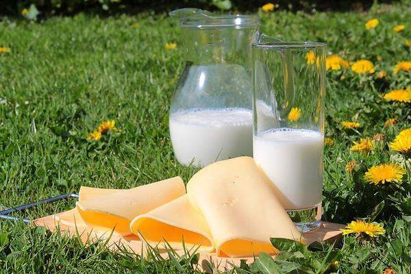 Damit Sie Ihren täglichen Calcium-Bedarf decken, essen Sie genug Milchprodukte! Am besten Sie halten sich bei Käse und Joghurt an fettarme Varianten.