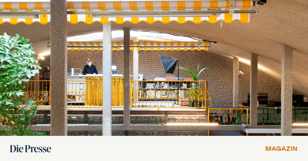 Eissalon-Charme-im-Hinterhof-Parkhaus-aus-Holz-Wenn-Gewerbefl-chen-Atmosph-re-bekommen-premium-