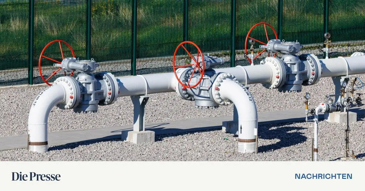 Leere-Speicher-weniger-LNG-Lieferungen-Deutschland-geht-das-Gas-aus-premium-