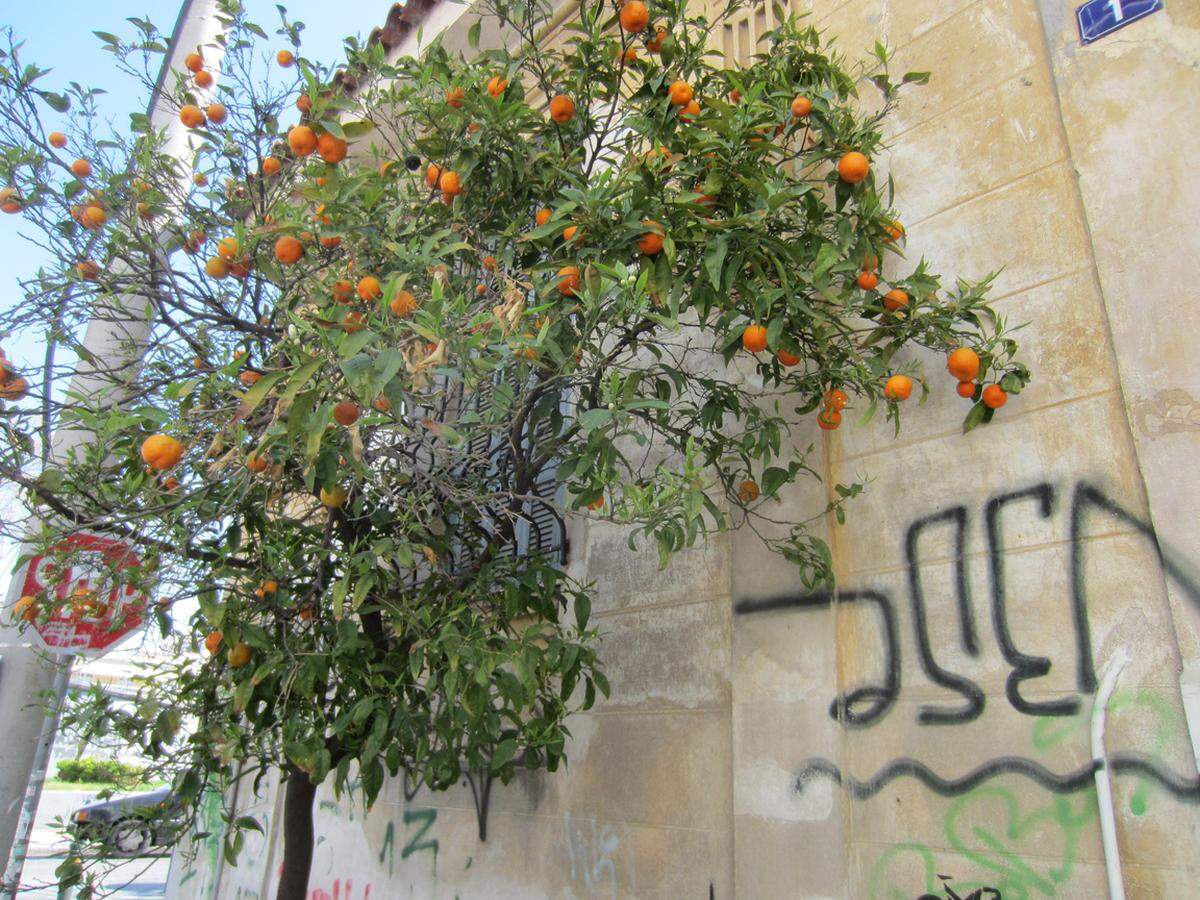 Auf den Straßen blühen die Orangenbäume, das muss Athen sein! Zum Glück ist hier keine Krise zu sehen …