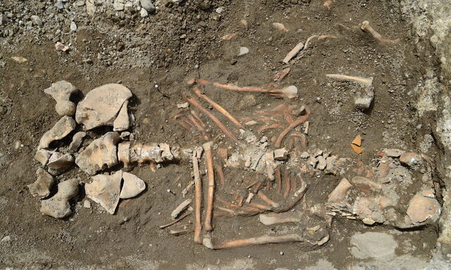 Bis zu den Oberschenkeln war das Skelett aus dem 18. Jahrhundert original erhalten. Nach der Analyse wird die Frau auf dem Zentralfriedhof beigesetzt.