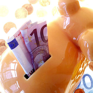 Sparschwein mit Euros