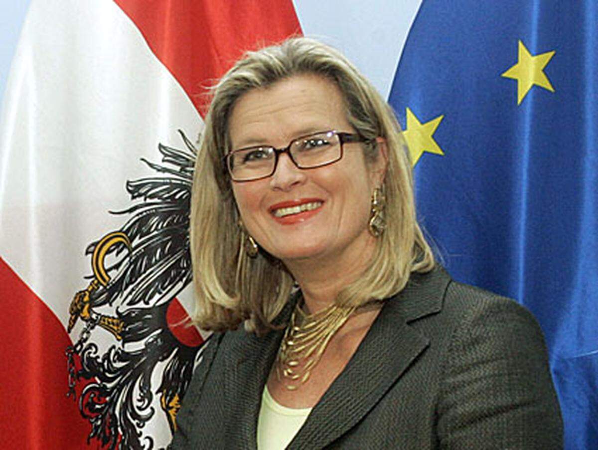 Von 2000 bis 2004 blieb Plassnik Kabinettschefin des damaligen Bundeskanzlers Schüssel. Dann wechselte sie als österreichische Botschafterin in die Schweiz.