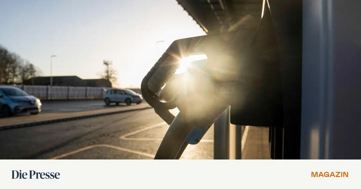 Steuern-Warum-Unternehmen-heuer-noch-investieren-sollten-premium-