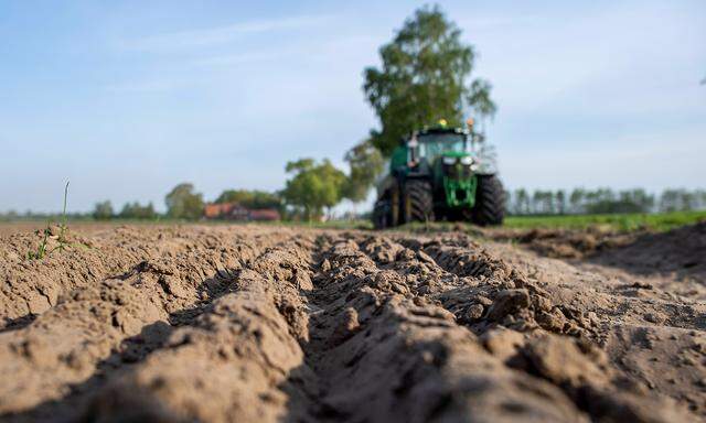 Viel zu wenig Niederschläge gab es dieses Jahr bisher. Österreichs  Böden sind ausgetrocknet, und zwar nicht nur an der Oberfläche.