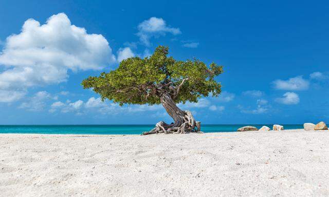 Caribbean Style. Passatwolken, weißer Sand und ein türkises Meer. 