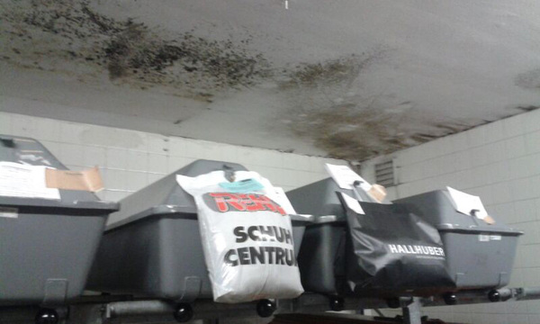 Fotos aus der zentralen Bezirksleichenkammer Favoriten am Matzleinsdorfer Platz wurden der "Presse" zugespielt..