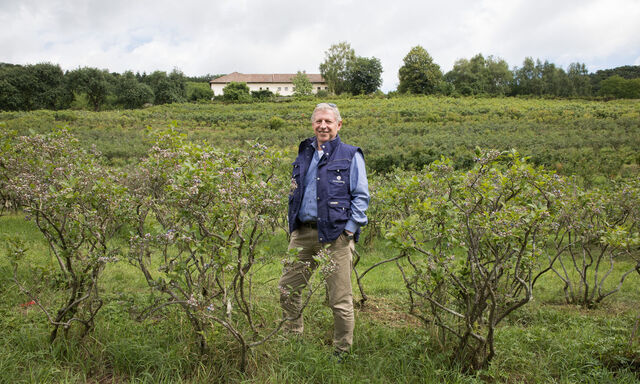 Klaus Schmied betreibt am Rande von Linz seinen Beerenberg – und verkauft hier Bio-Heidelbeeren und verarbeitete Produkte.