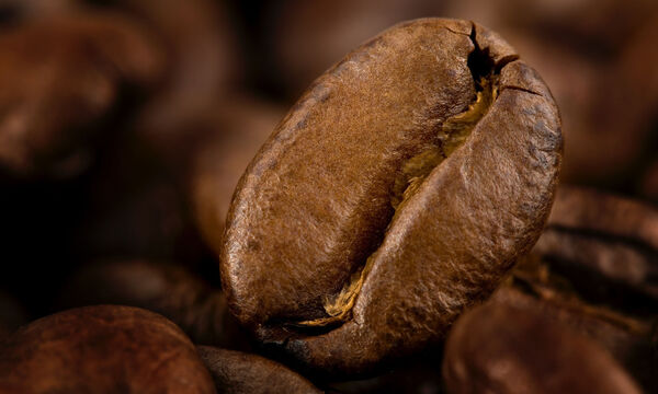 Kaffeebohnen