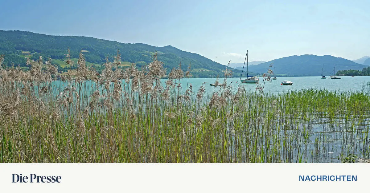 Turistika: Rakousko bylo letos dobře obsazeno