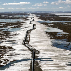 Alaska Climate Change Wildlife Oil Drilling Caribou Birds Science