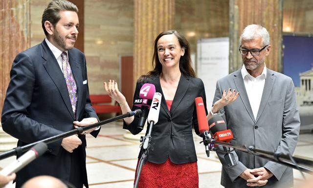 Bildungsministerin Hammerschmid flankiert von Wissenschaftsminister Mahrer (links) und dem grünen Bildungssprecher Walser. 