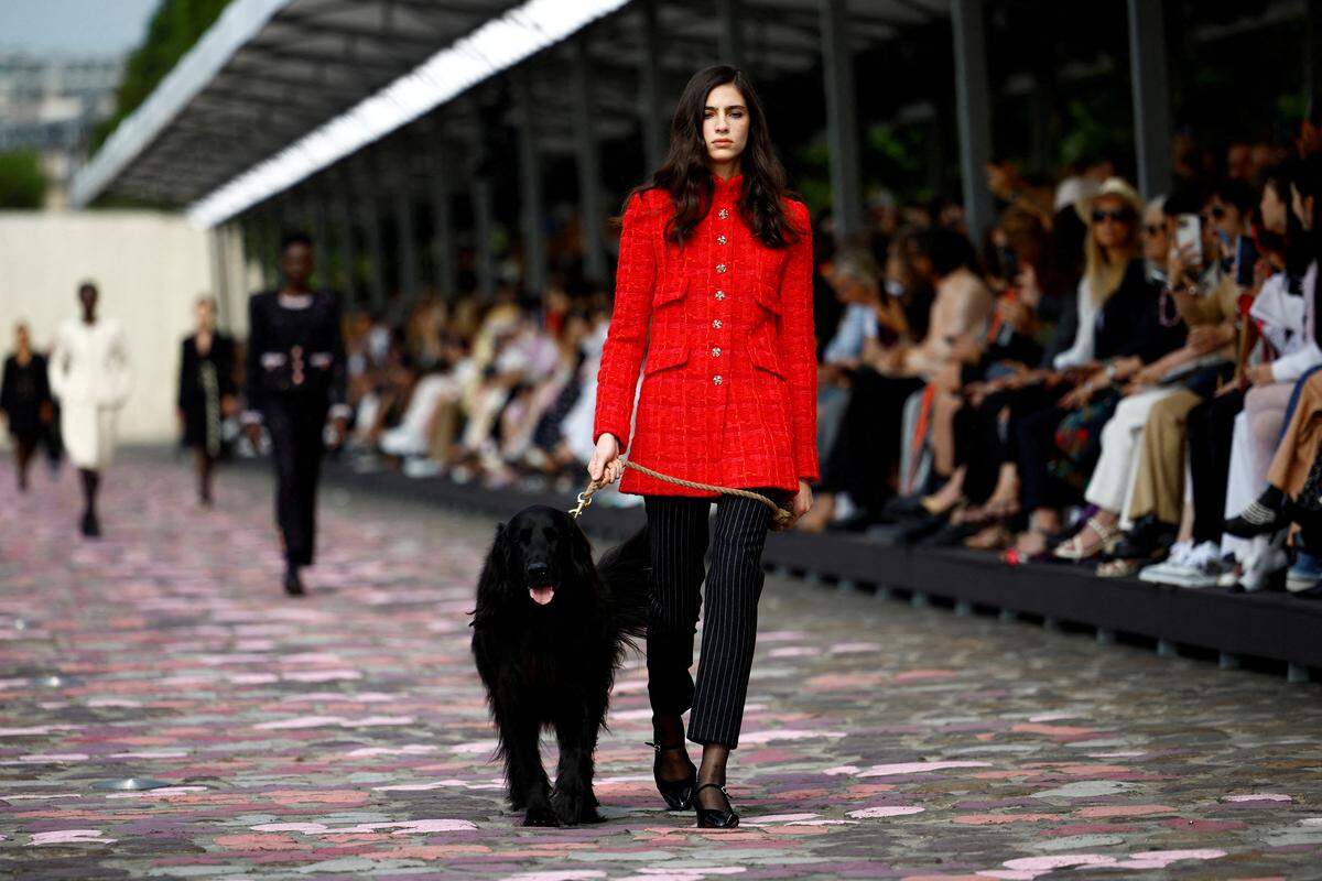 Tierisch ging es diesmal auf dem Laufsteg von Chanel zu, auf dem ein Hund Gassi geführt wurde. 