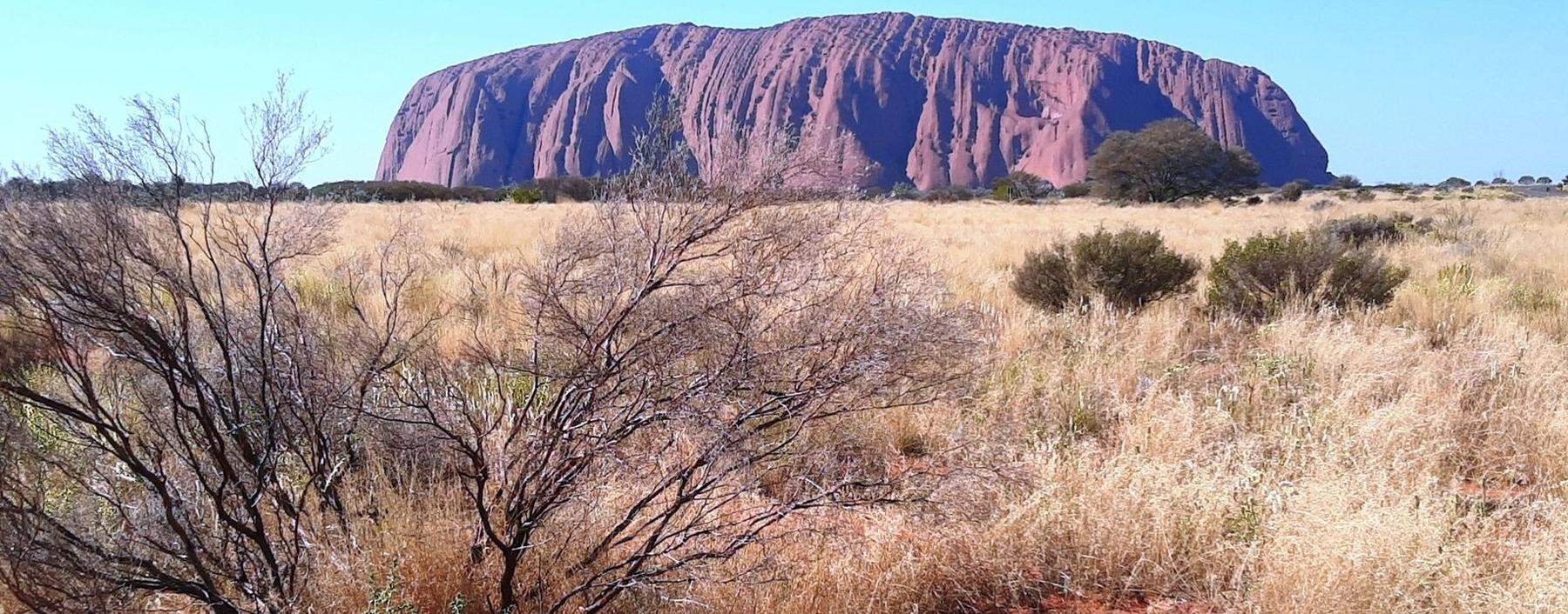 Außen herum, nicht oben drüber: Der Uluru  ist den Aborigines heilig. 