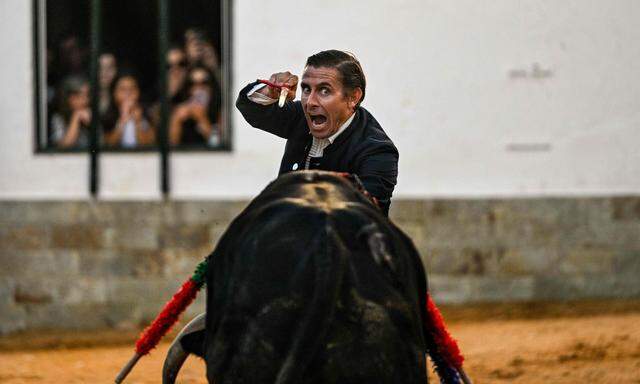 Matador Nuno Casquinha benutzt das Schwert, um einen Stier während eines Stierkampfes auf einer provisorischen Stierkampfarena zu töten.