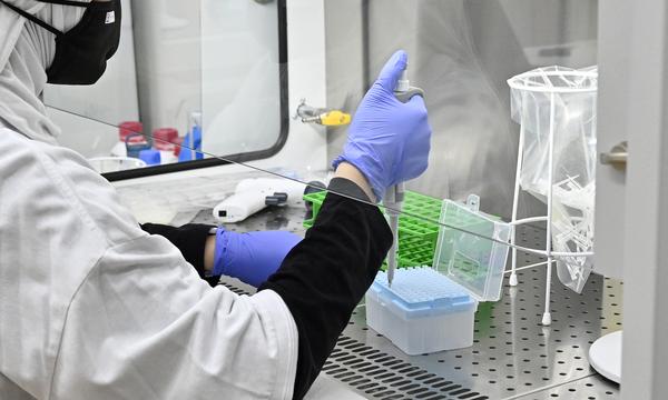 Die Stuhlproben werden in einem Labor auf okkultes, also verstecktes Blut untersucht.