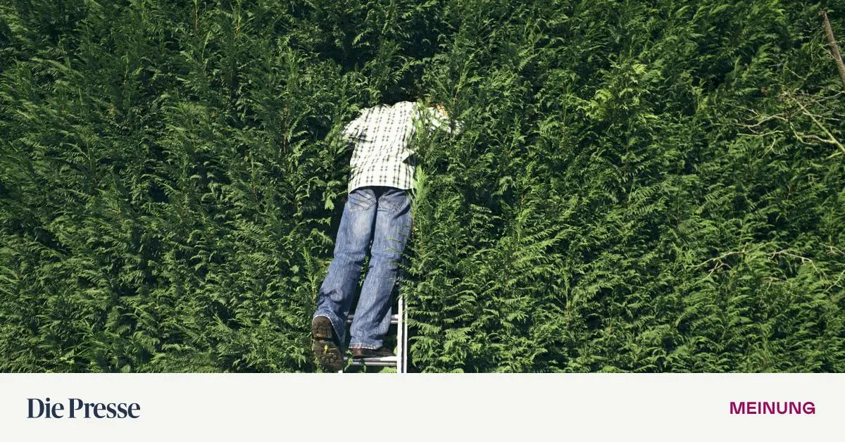 Eine-Heckenschere-f-r-die-Staatsausgaben-premium-